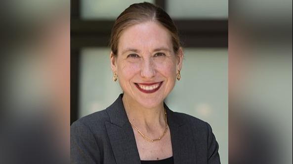 Anita Krug, Dean And Professor Of Law at Illinois Institute of Technology